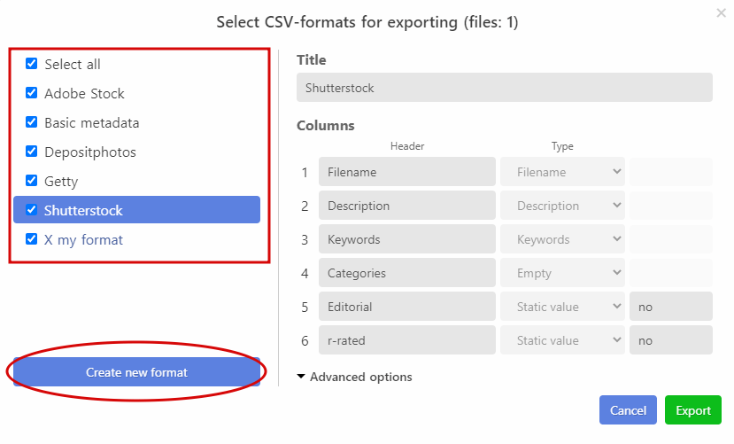 CSV-Export: select format(s)